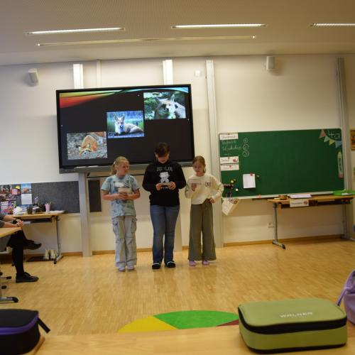 Referat-Coaching