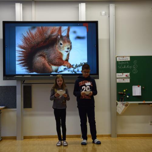 Referat-Coaching