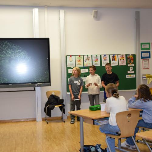Referat-Coaching