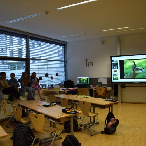 Referat-Coaching