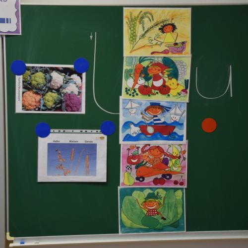 Bunt ist g'sund
