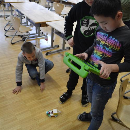 Projekttage 1. und 2. Schulstufe