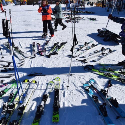 Skitage 1. und 2. Schulstufe