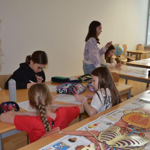 Projekttage - 3. und 4. Schulstufe