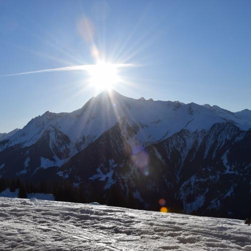 Skitage - 1. und 2. Schulstufe