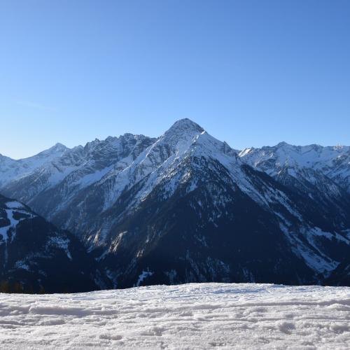 Skitage - 1. und 2. Schulstufe