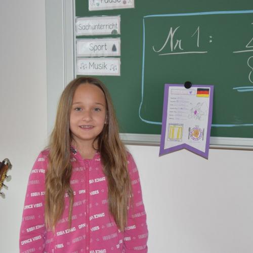 Europareferat
