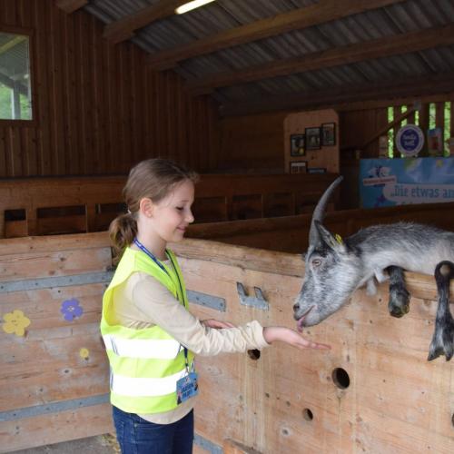 Die etwas andere Schulstunde
