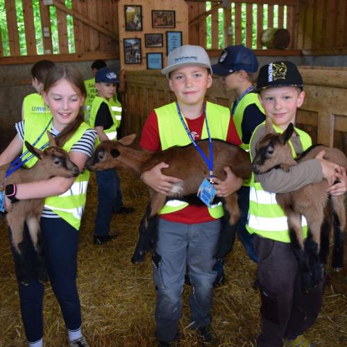 Die etwas andere Schulstunde