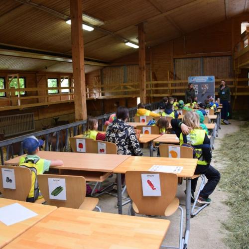 Die etwas andere Schulstunde