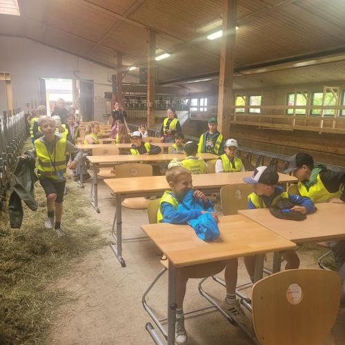 Die etwas andere Schulstunde