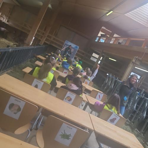 Die etwas andere Schulstunde