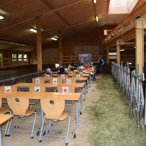 Die etwas andere Schulstunde