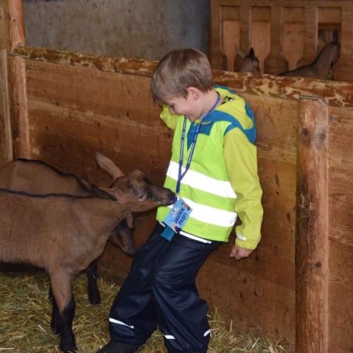 Die etwas andere Schulstunde