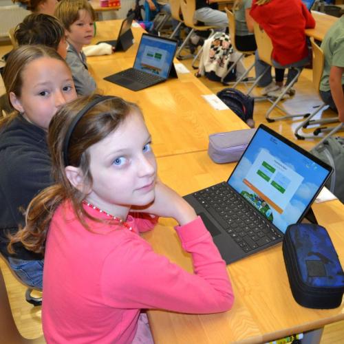 Online mit Köpfchen