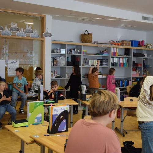 Verein gegen Tierfabriken