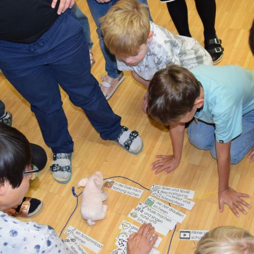 Verein gegen Tierfabriken