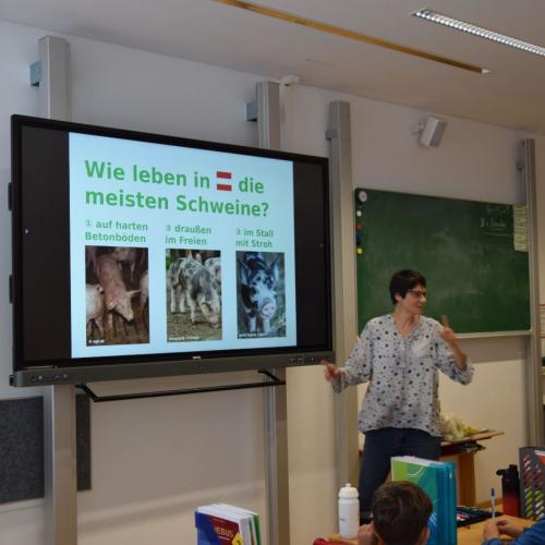 Verein gegen Tierfabriken