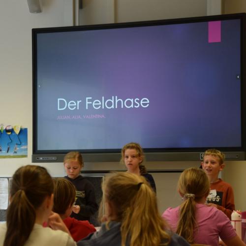 Referat Coaching