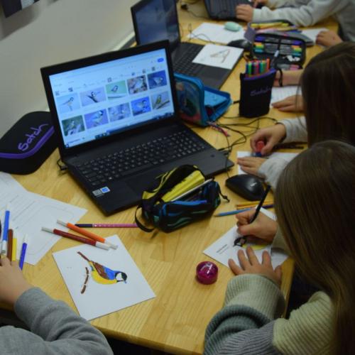 Stunde der Wintervögel