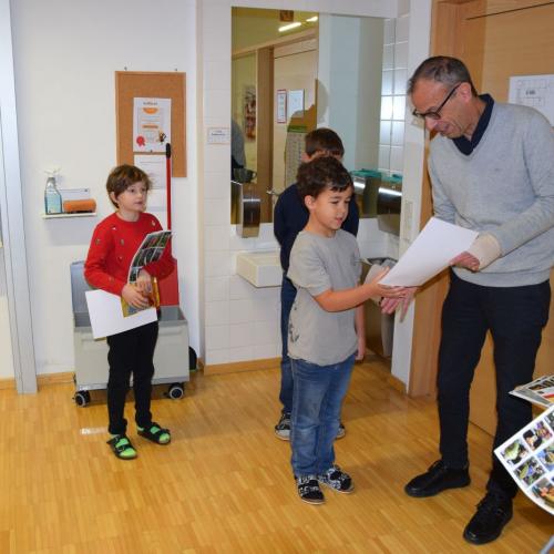 Naturwettbewerb Sonnenblume