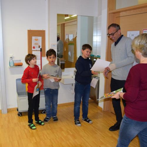 Naturwettbewerb Sonnenblume