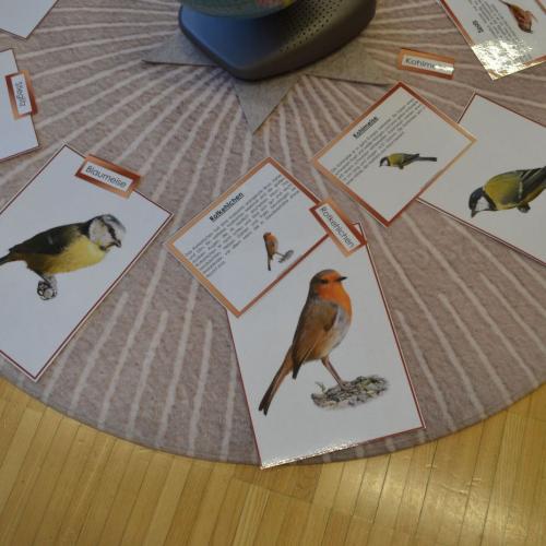 Stunde der Wintervögel