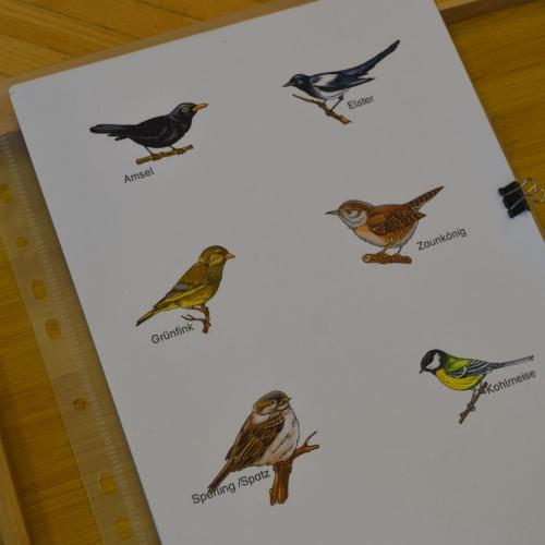 Stunde der Wintervögel