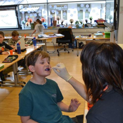 Zahnpflege mit Avomed