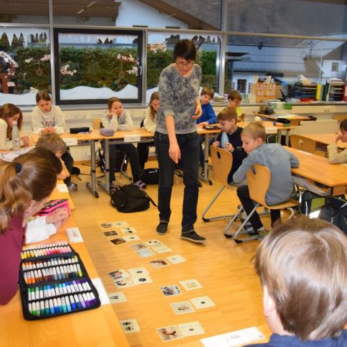 Workshop - Wildtiere