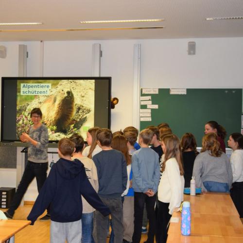 Workshop - Wildtiere