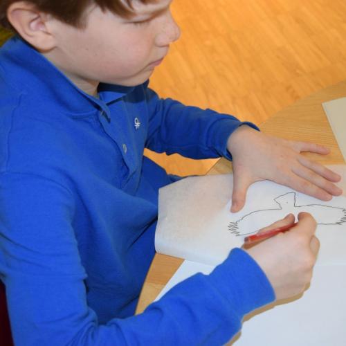 Workshop - Wildtiere