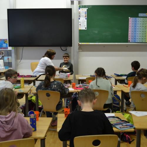 Zahnpflege mit Avomed