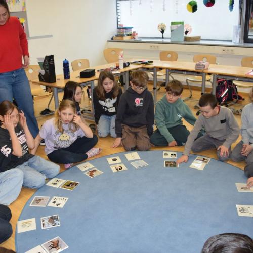 Workshop - Wildtiere