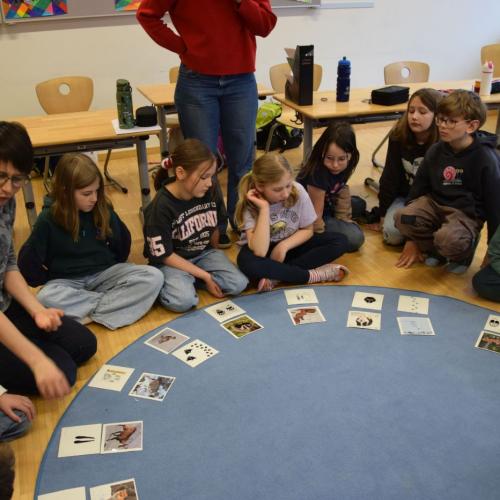 Workshop - Wildtiere