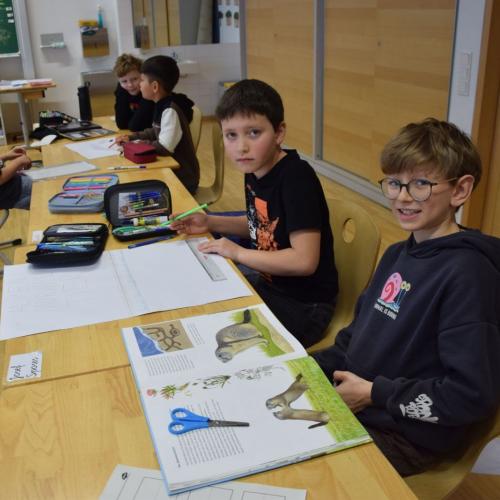 Workshop - Wildtiere