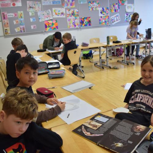 Workshop - Wildtiere