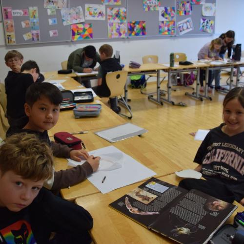 Workshop - Wildtiere