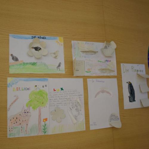 Workshop - Wildtiere