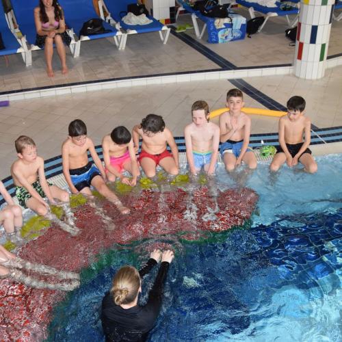 Schwimmabzeichen