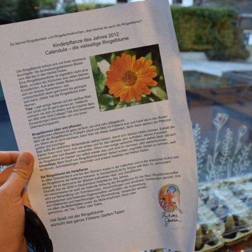 Die Pflanzerei - Calendula