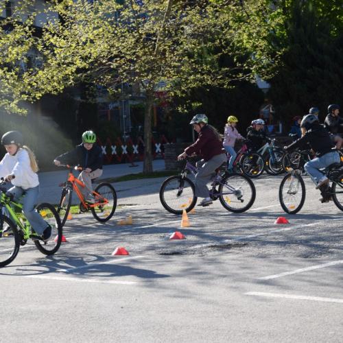Workshop Radfahren