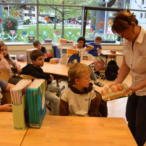Bauernhof macht Schule