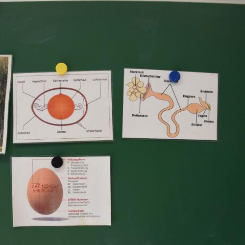 Bauernhof macht Schule