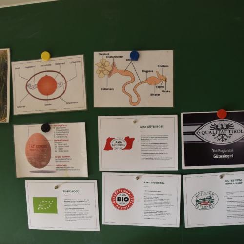 Bauernhof macht Schule