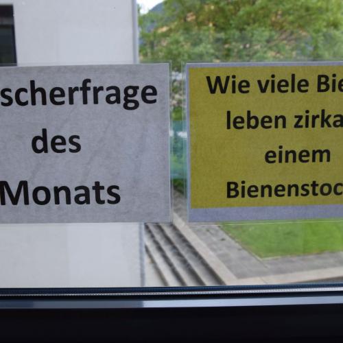 Forscherecke 