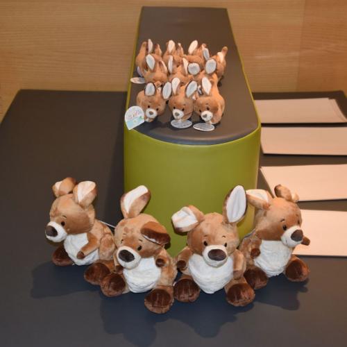Känguru der Mathematik
