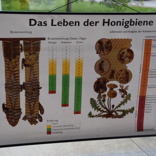 Forscherecke