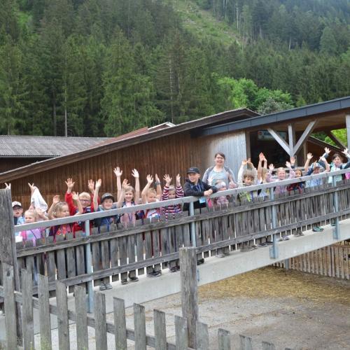Sennerei Mayrhofen