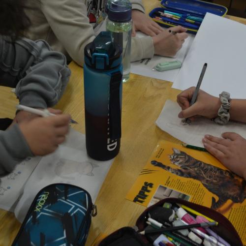 Workshop "Wildpferde"